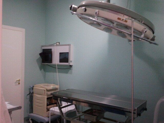 ambulatorio della clinica veterinaria