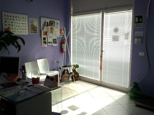 sala d'attesa dell'ambulatorio veterinario