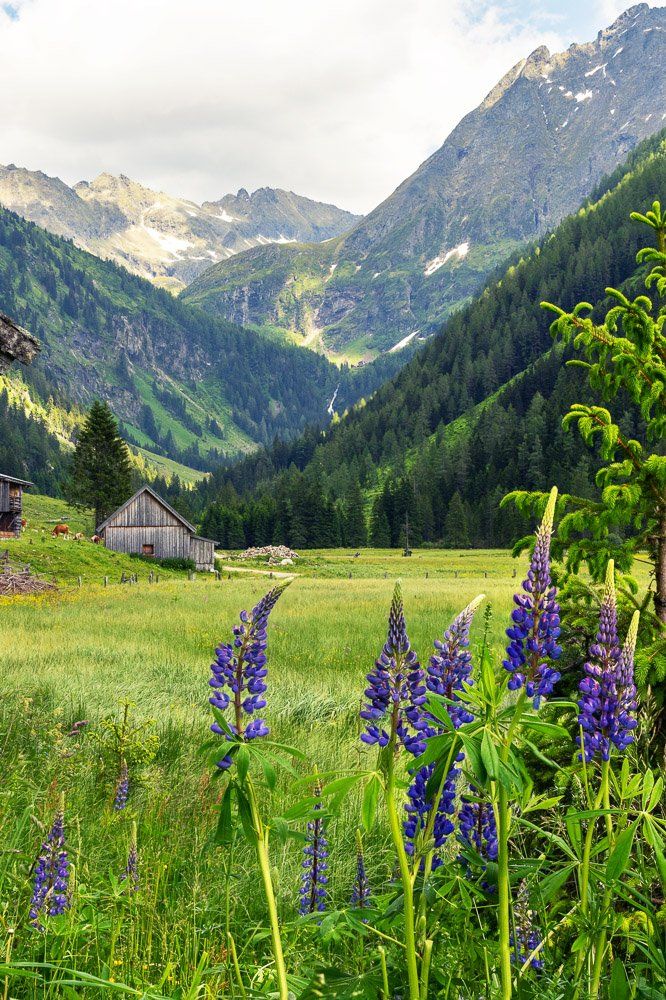 Alpine Landschaften der Niederen Tauern im Salzburger Land und Steiermark – Bergfotografie