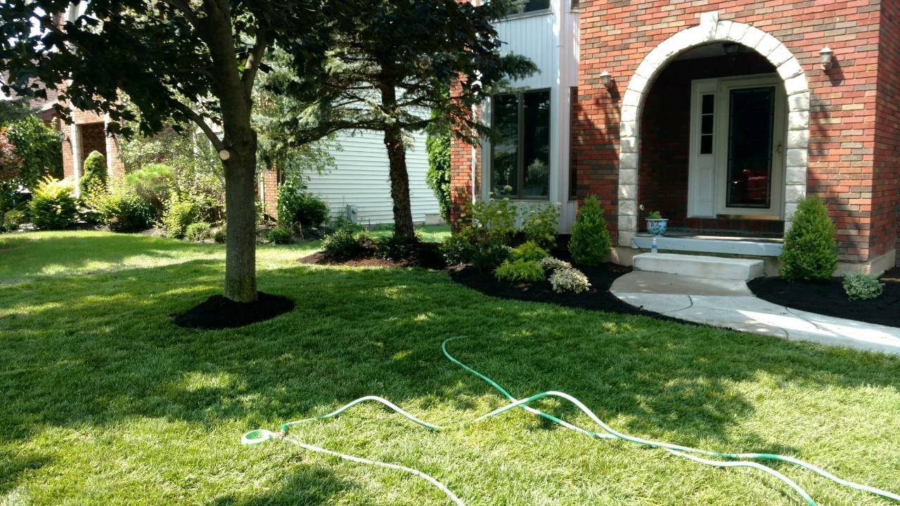 Landscape Design 1