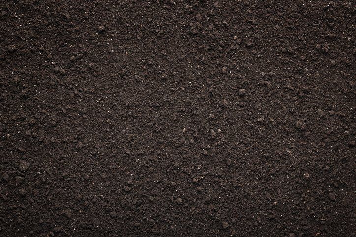 Screened Topsoil 2