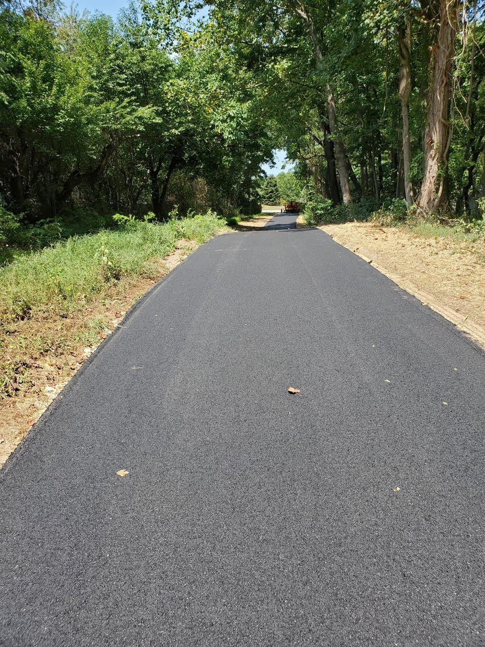 A paved road in the middle of a wooded area