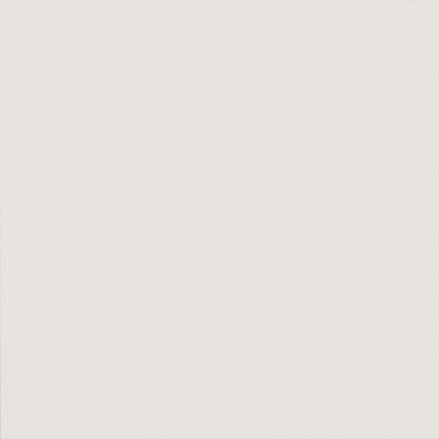A close up of a white background with a plain texture.