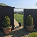 Rowan House outdoor area