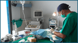 intervento veterinario
