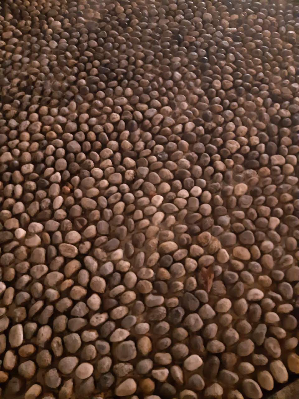 posa di pavimenti