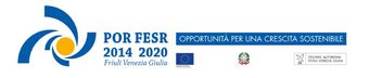 Logo FESR