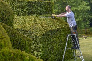 Hedging