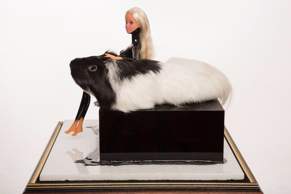 PET, taxidermy guinea pig, piebald, black and white art, London art, taxidermy art, barbie, barbie art, London taxidermy art.