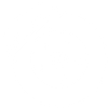 brake icon