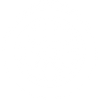 tyre icon