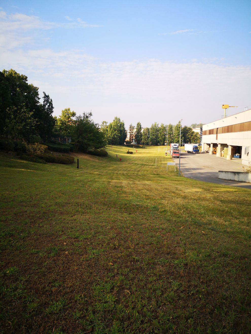 area verde con prato e alberi