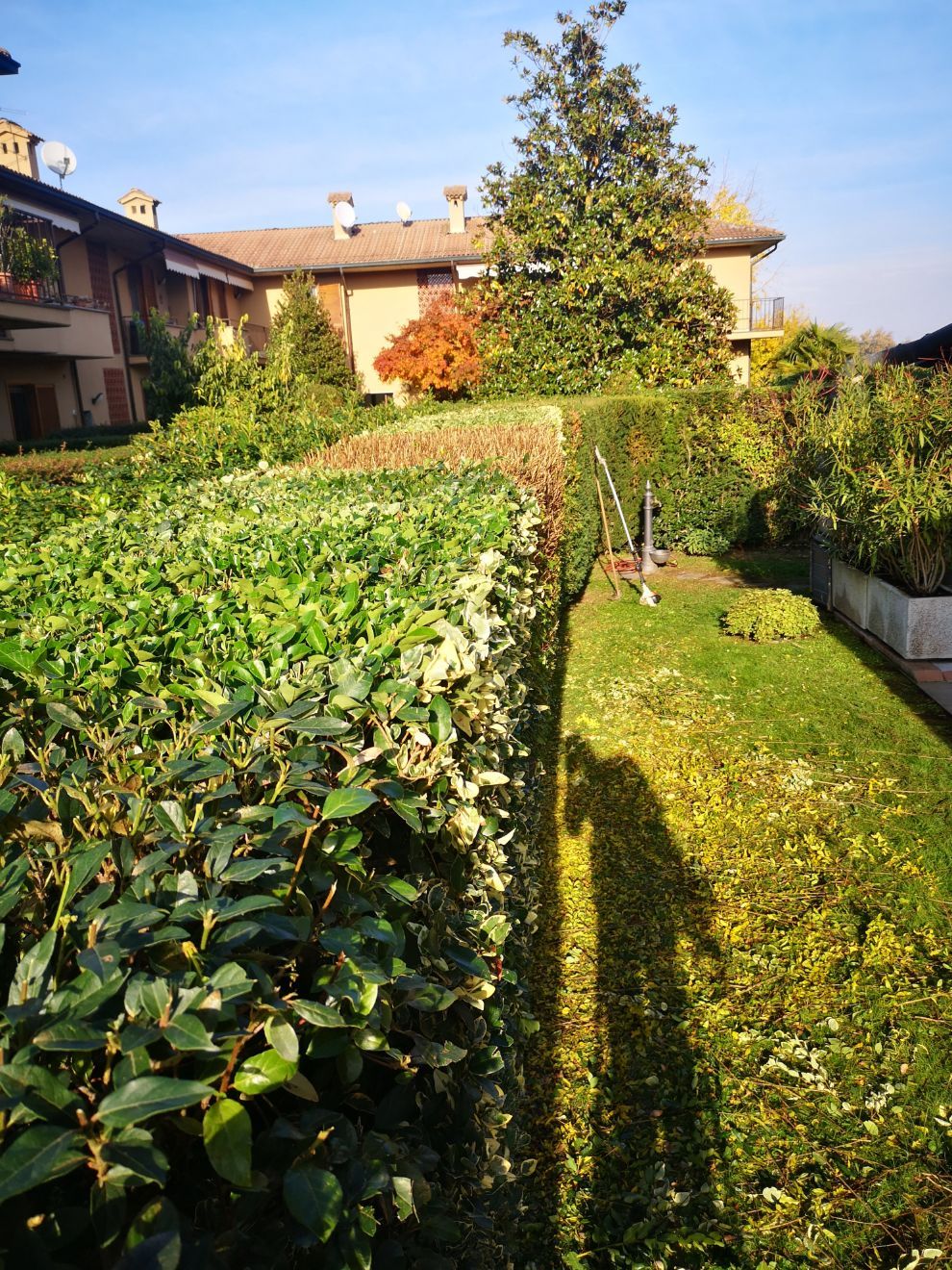 area verde condominiale