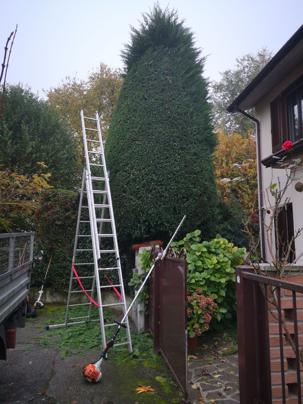 scala per potatura albero