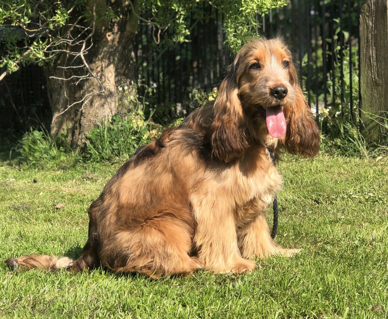 Max