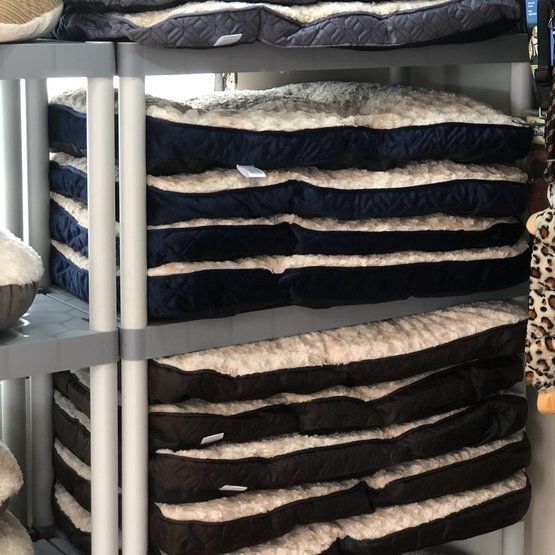 dog beds