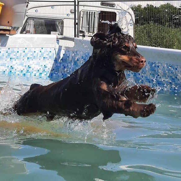 water fun