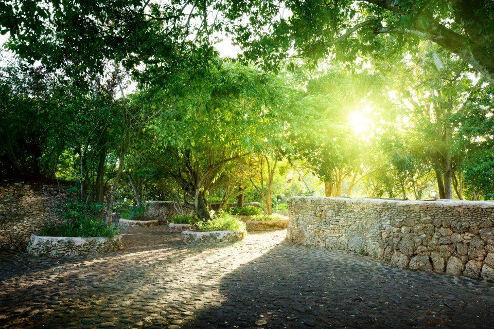 giardino
