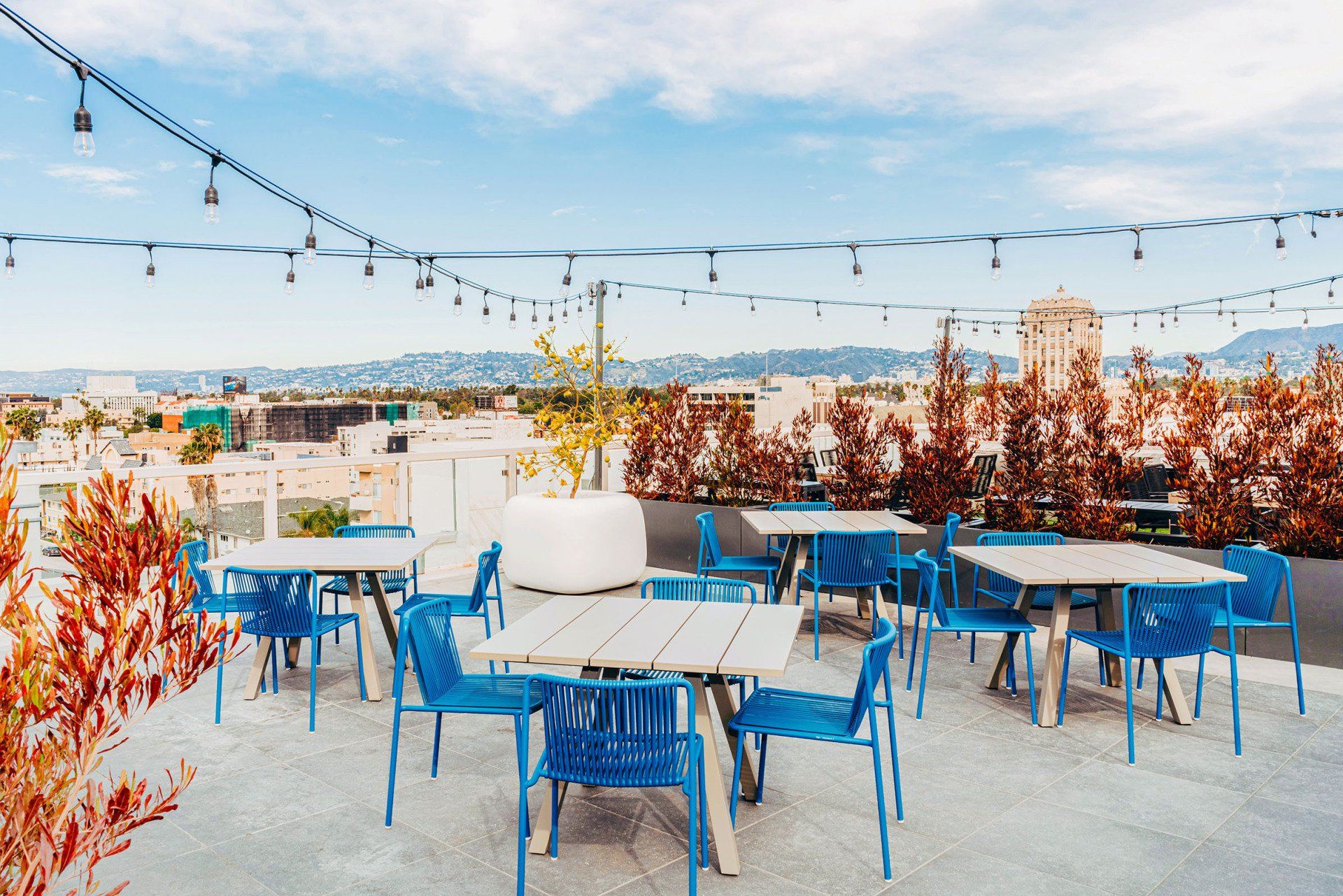 Roof Deck at Audrey