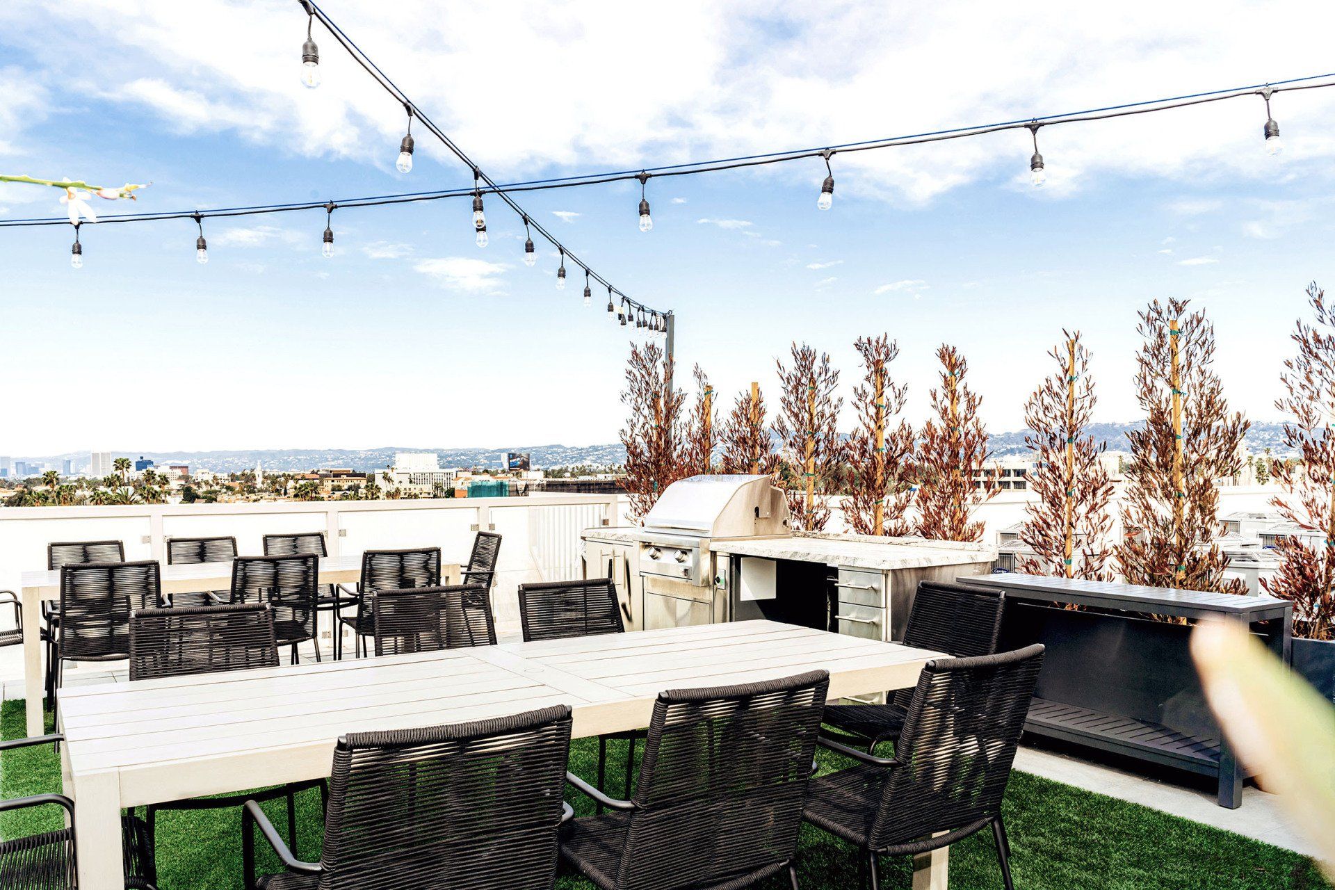 Roof Deck at Audrey