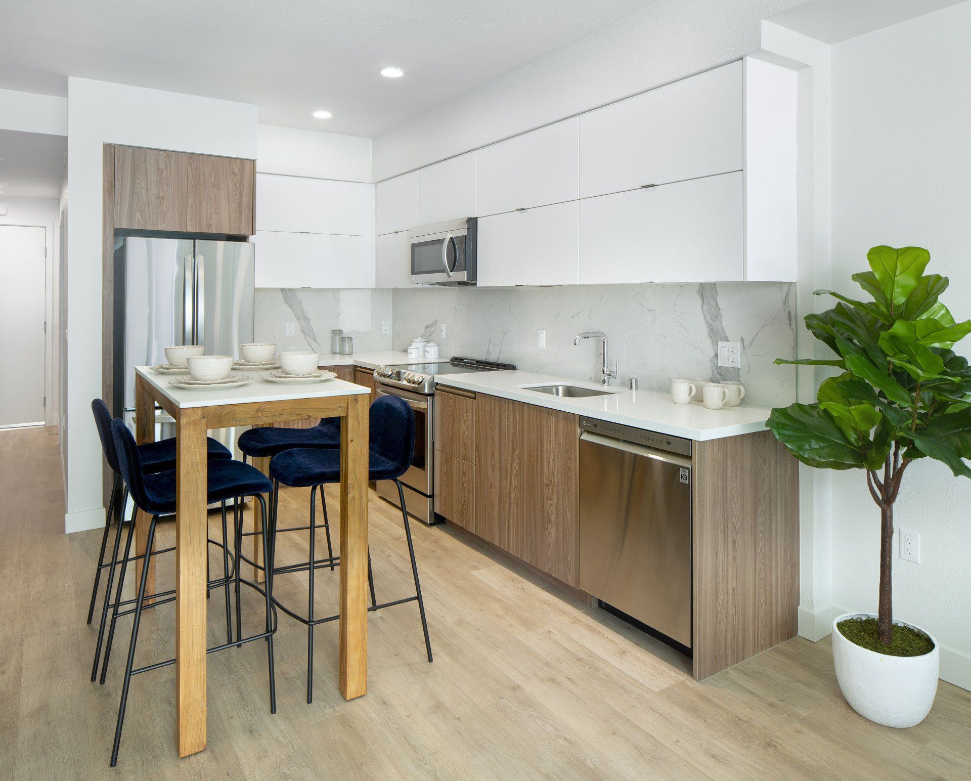 1 Bedroom at Nova