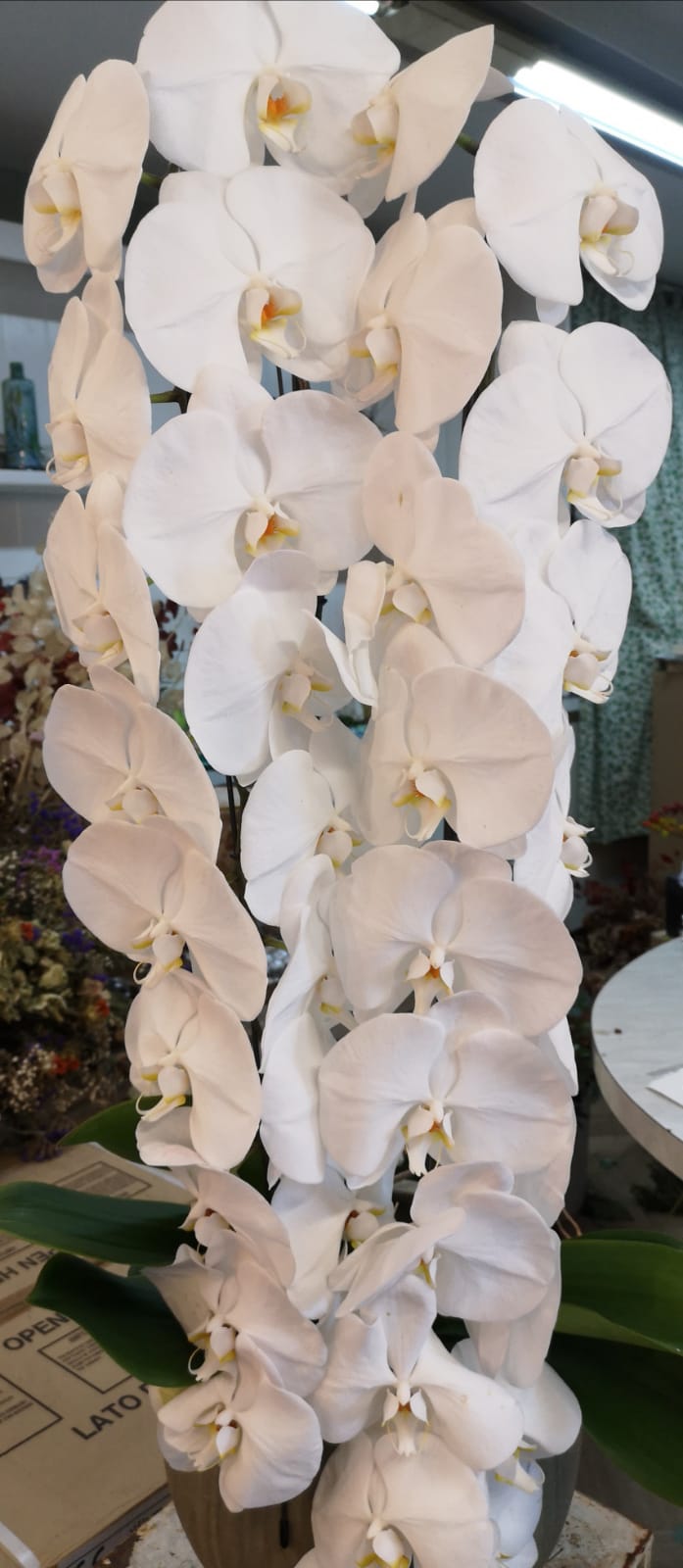 mazzo di fiori