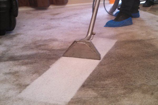 Profession Carpet Cleaning East Ayrshire