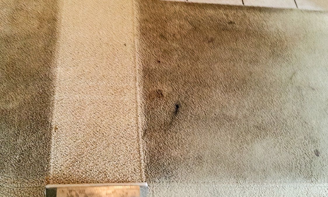 East Ayrshire Carpet Cleaning