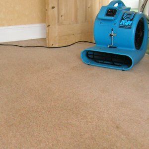Carpet Drier - Carpet Cleaning Company in Ayrshire