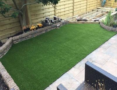 Aable Astrograss Ayrshire