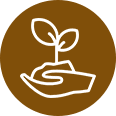 Cisnero's Tree Care Cisnero's Tree Care