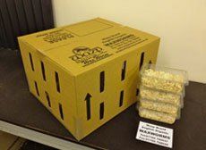 Worm Farm - Rotherham, UK - Wazp-Brand UK Ltd - 	Wax Worm5