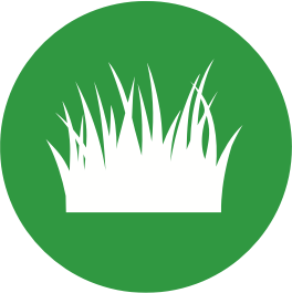 White grass blades within a green circle.