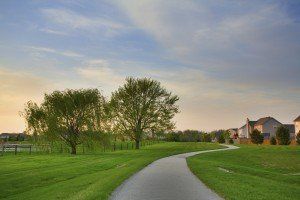 Suburban evening