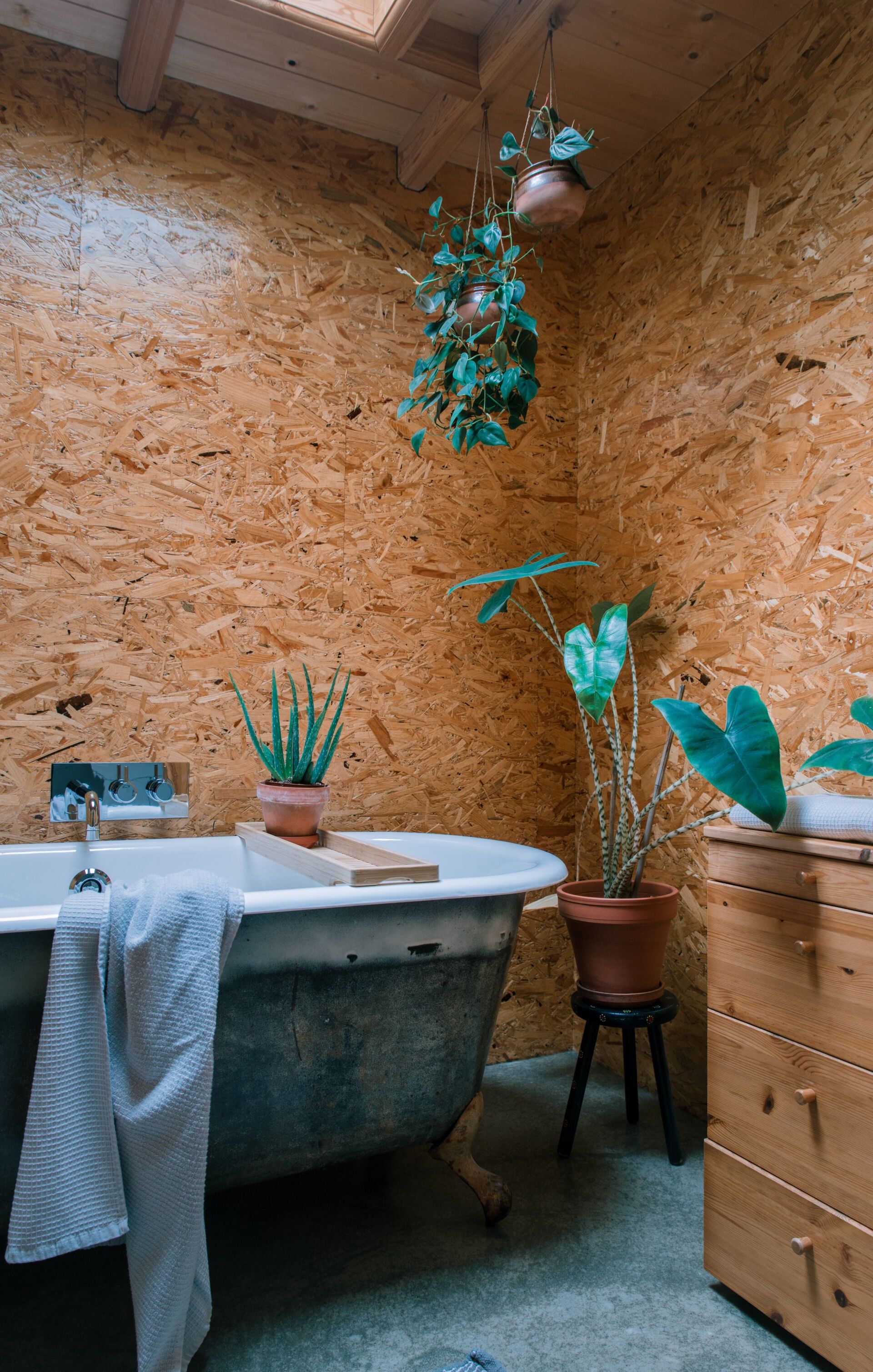 Gezellige badkamer met vrijstaand bad op pootjes, houten lambrisering en potplanten. Dakraam erboven.