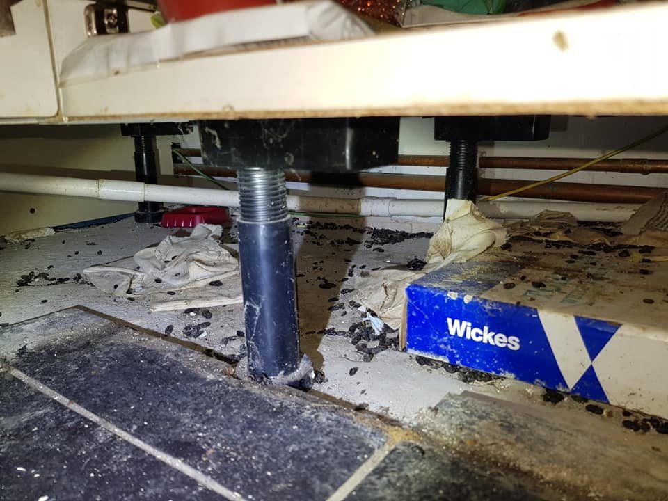mouse droppings beneath kitchen units