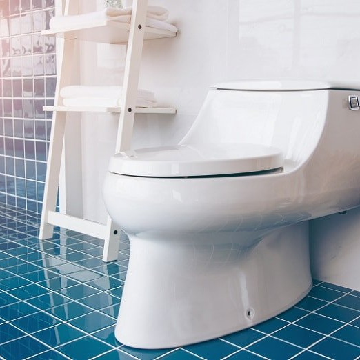 Toilet Plumbing Hamilton