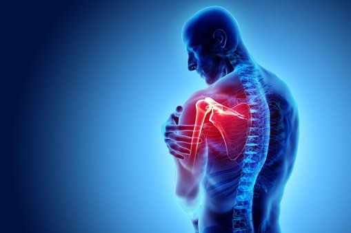 Orthopedic Surgeon — X-ray of Shoulder in Lake Success, NY Orthopedic Surgeon — X-ray of Shoulder in Lake Success, NY