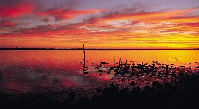 coorong national park