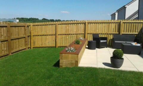 garden lawn