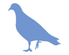 Bird icon