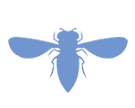 Wasp icon
