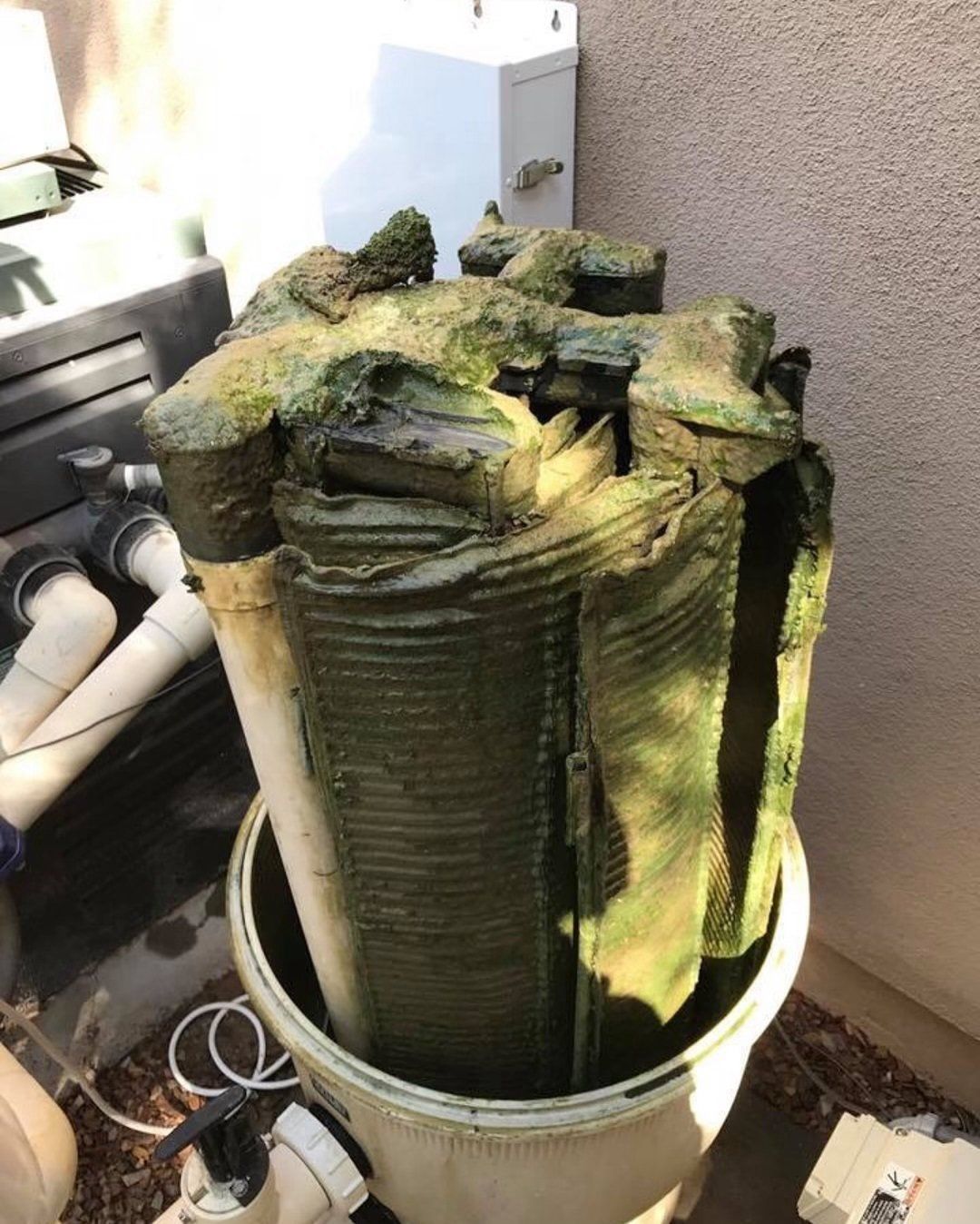 dirty pool filters scottsdale