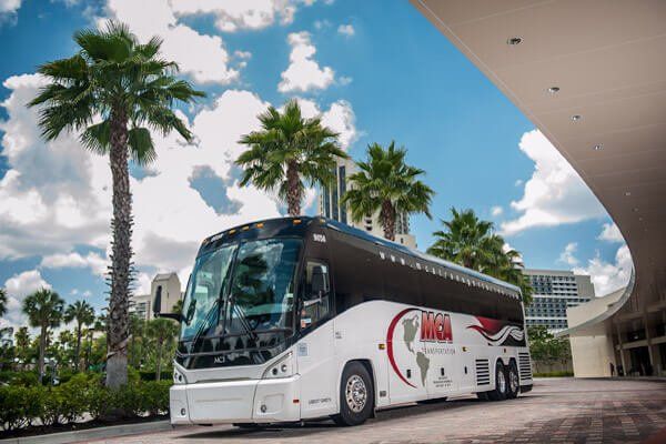 large group ground transportation services A white and black bus is parked in front of palm trees.