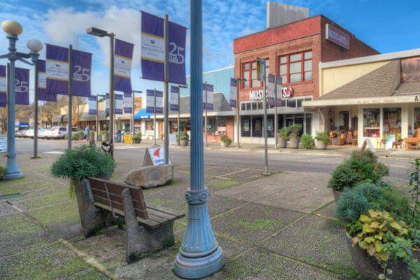 A city street with a bench in the middle of it