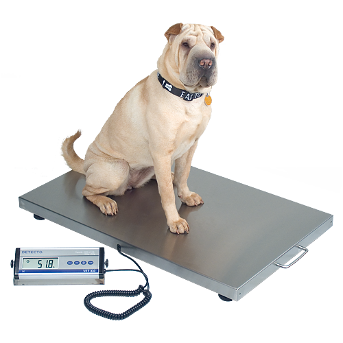 Vet330wh — High Readout Remote Weight in Crestwood, Il