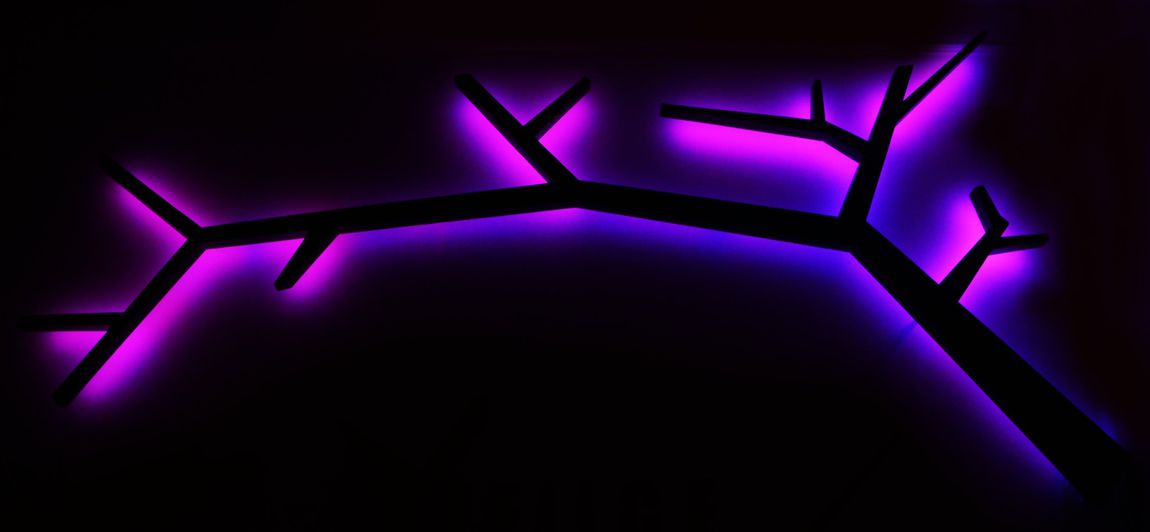 La silhouette di un ramo d'albero su uno sfondo scuro, retroilluminata da un vibrante bagliore viola.