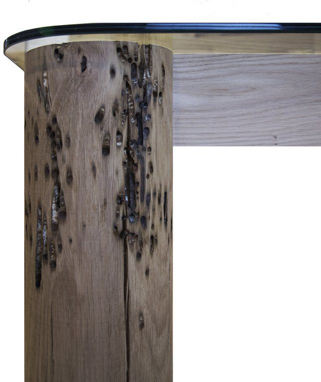 Una gamba di tavolo cilindrica in legno con evidenti fori scuri, causati da insetti, che sorregge una superficie liscia in legno chiaro.
