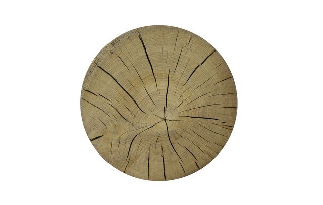 Una superficie circolare con venature del legno di colore marrone chiaro, caratterizzata da profonde crepe radiali che si irradiano dal centro.