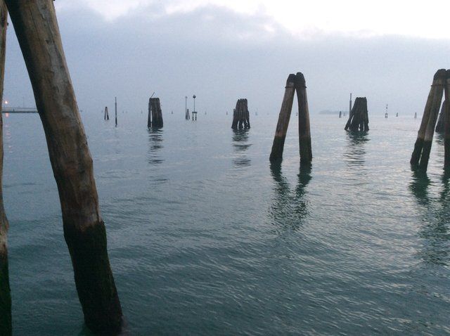 Sotto un cielo nuvoloso, dalle calme acque grigie di una laguna veneziana avvolta dalla nebbia emergono pali di legno, noti come briccole.